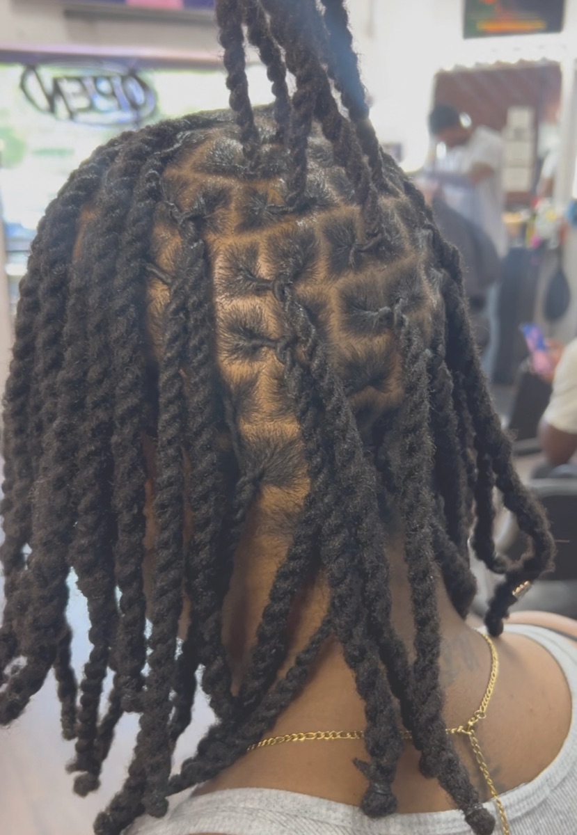 Neat two-strand twists and braids done at the shop